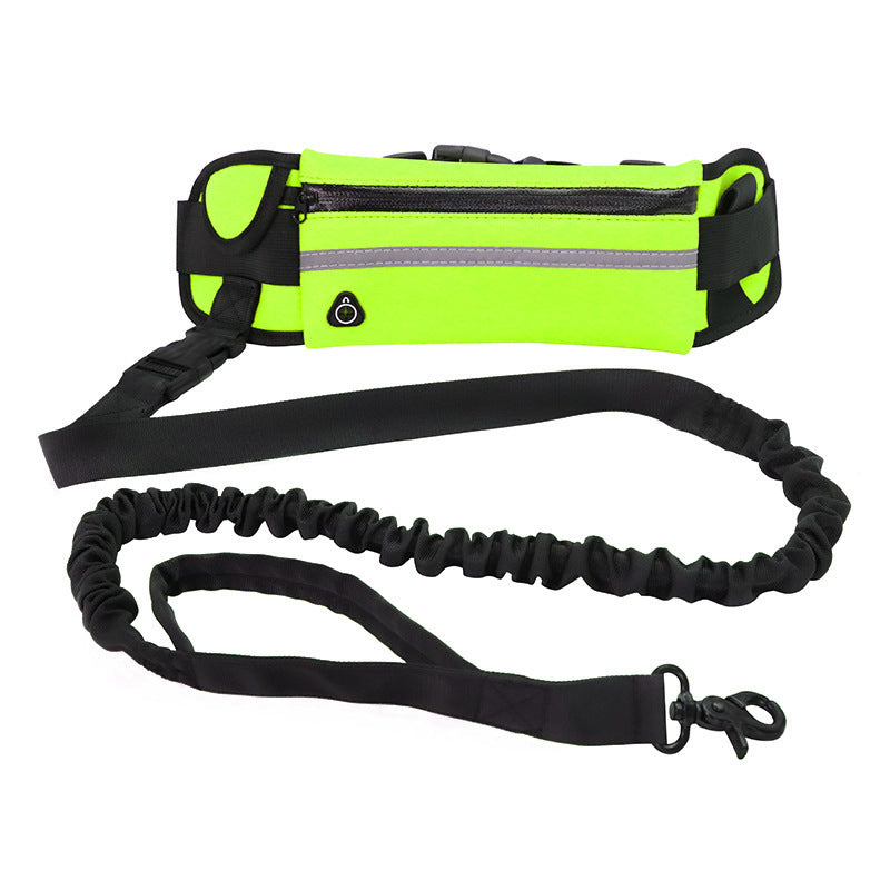 Hands-Free Dog Leash with Shock Absorbing Bungee & Storage Pouch - Beldogshop