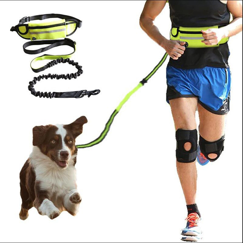 Hands-Free Dog Leash with Shock Absorbing Bungee & Storage Pouch - Beldogshop