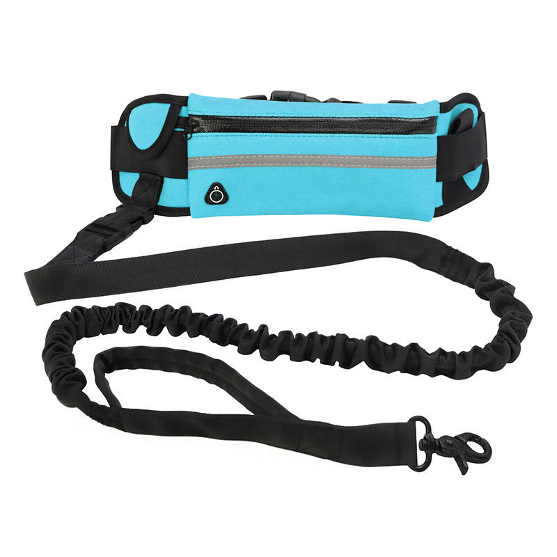 Hands-Free Dog Leash with Shock Absorbing Bungee & Storage Pouch - Beldogshop