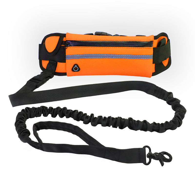 Hands-Free Dog Leash with Shock Absorbing Bungee & Storage Pouch - Beldogshop