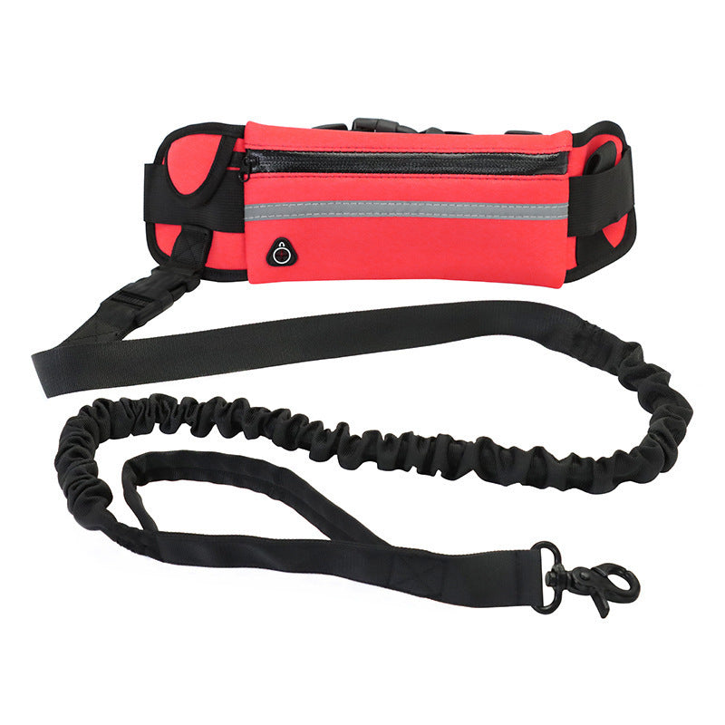 Hands-Free Dog Leash with Shock Absorbing Bungee & Storage Pouch - Beldogshop